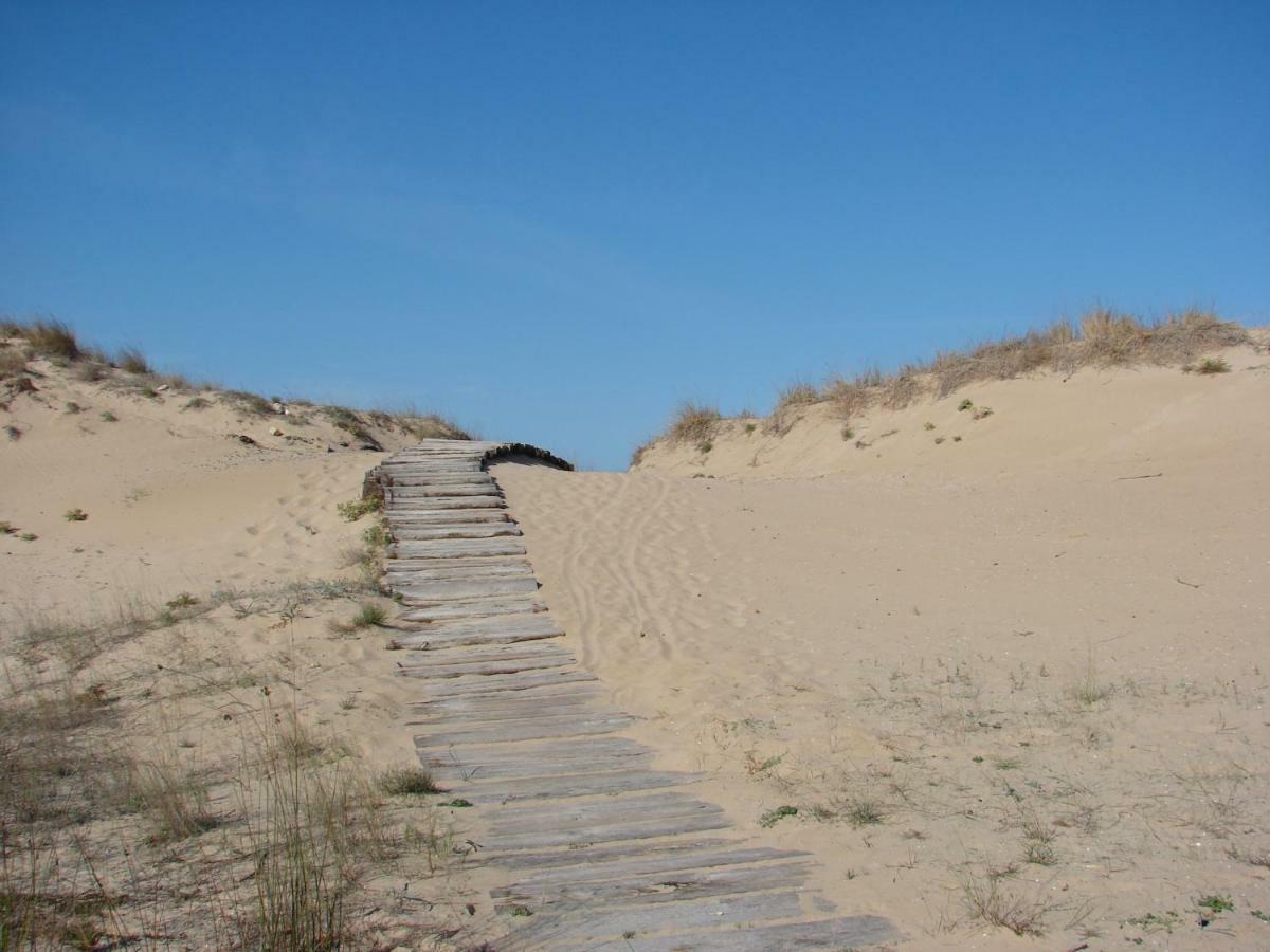 Dunas Victoria أوليفا المظهر الخارجي الصورة